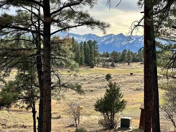 46 Marmot Court, Ridgway, CO 81432