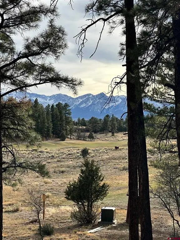 46 Marmot Court, Ridgway, CO 81432 - #3