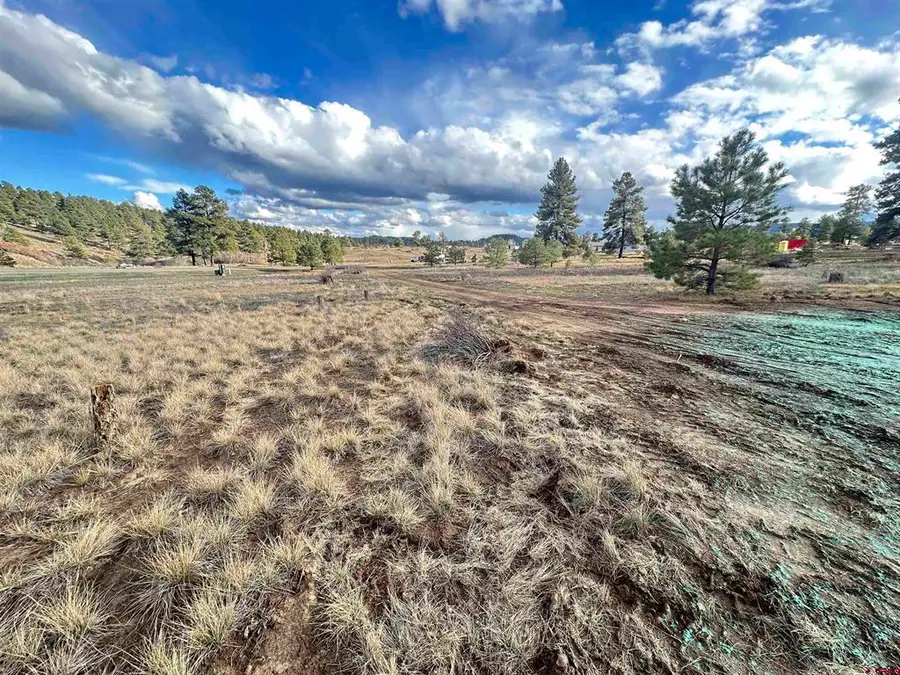 37 Arroyo Court, Pagosa Springs, CO 81147 - #2