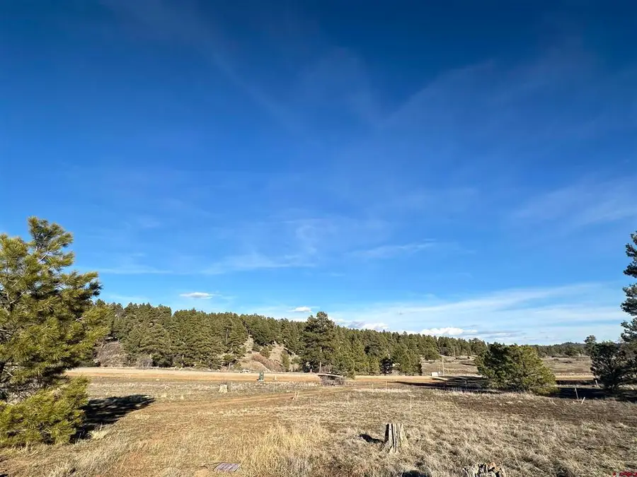 37 Arroyo Court, Pagosa Springs, CO 81147 - #3