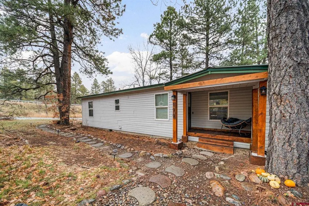 199 Timber Drive, Durango, CO 81303 - #1
