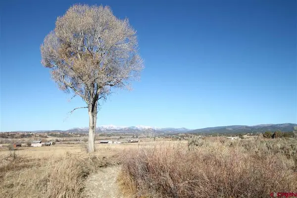 TBD County Road 510, Durango, CO 81303
