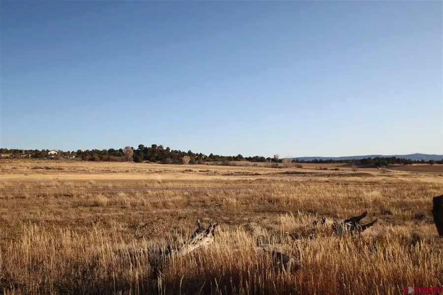 TBD County Road 510, Durango, CO 81303 - #3