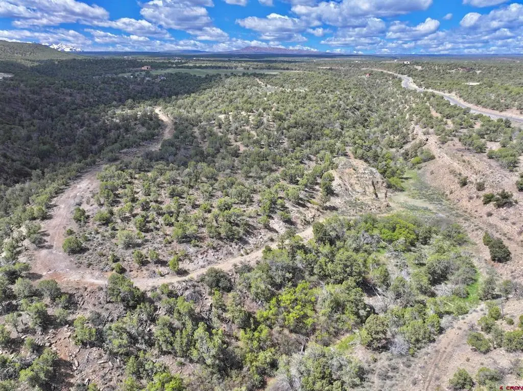 TBD (Tract 4) Cr 1, Montrose, CO 81403 - #1