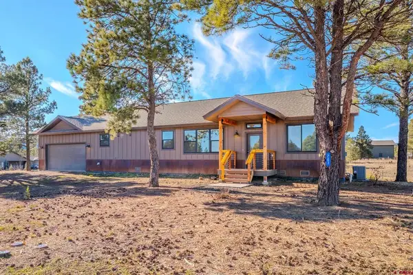 207 Domicile Circle, Pagosa Springs, CO 81147