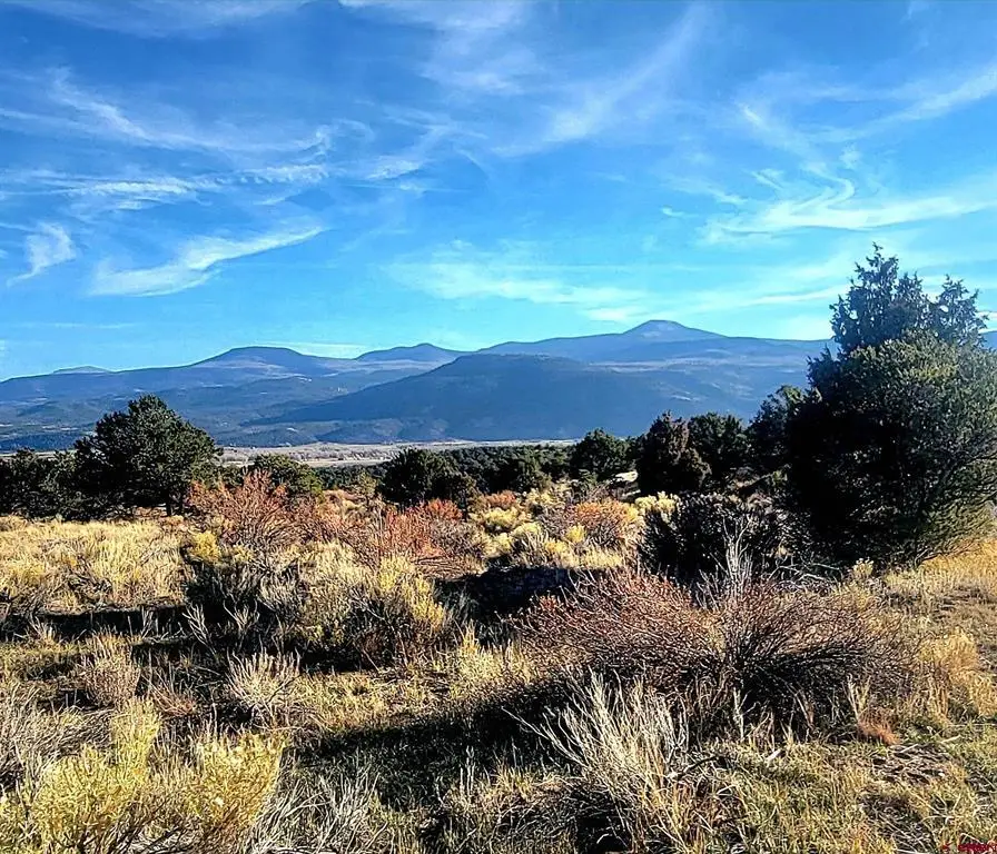 1094 & 1343 Valley View Road, South Fork, CO 81154 - #1