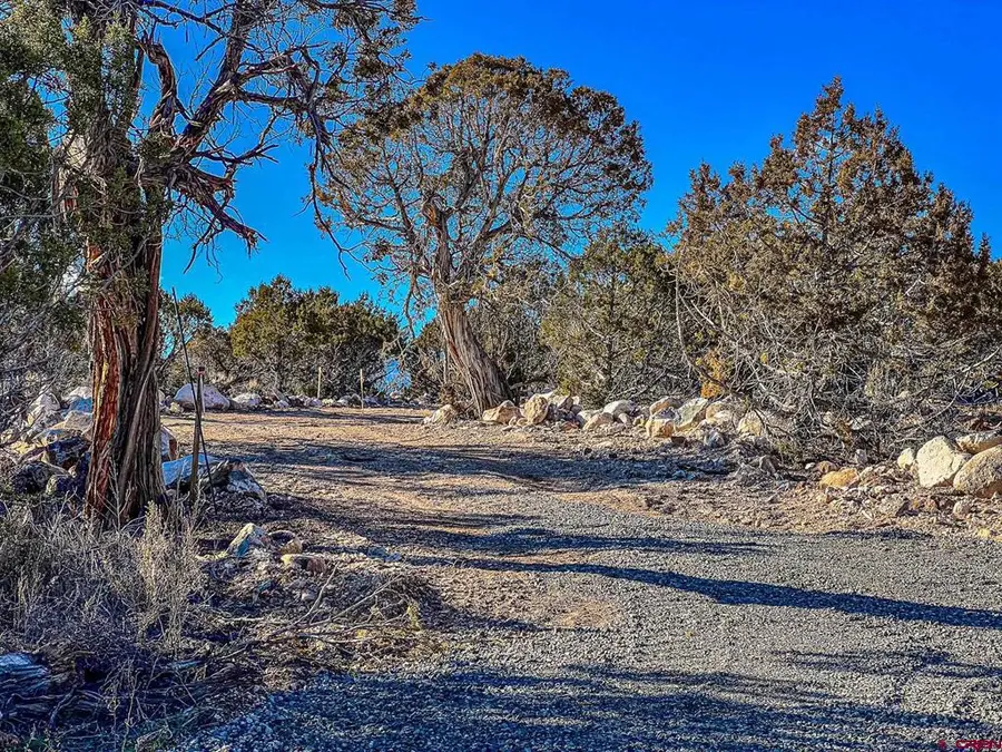 15369 2525 Road, Cedaredge, CO 81413 - #3