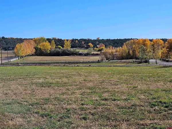 239 Hawks View Dr, Durango, CO 81303