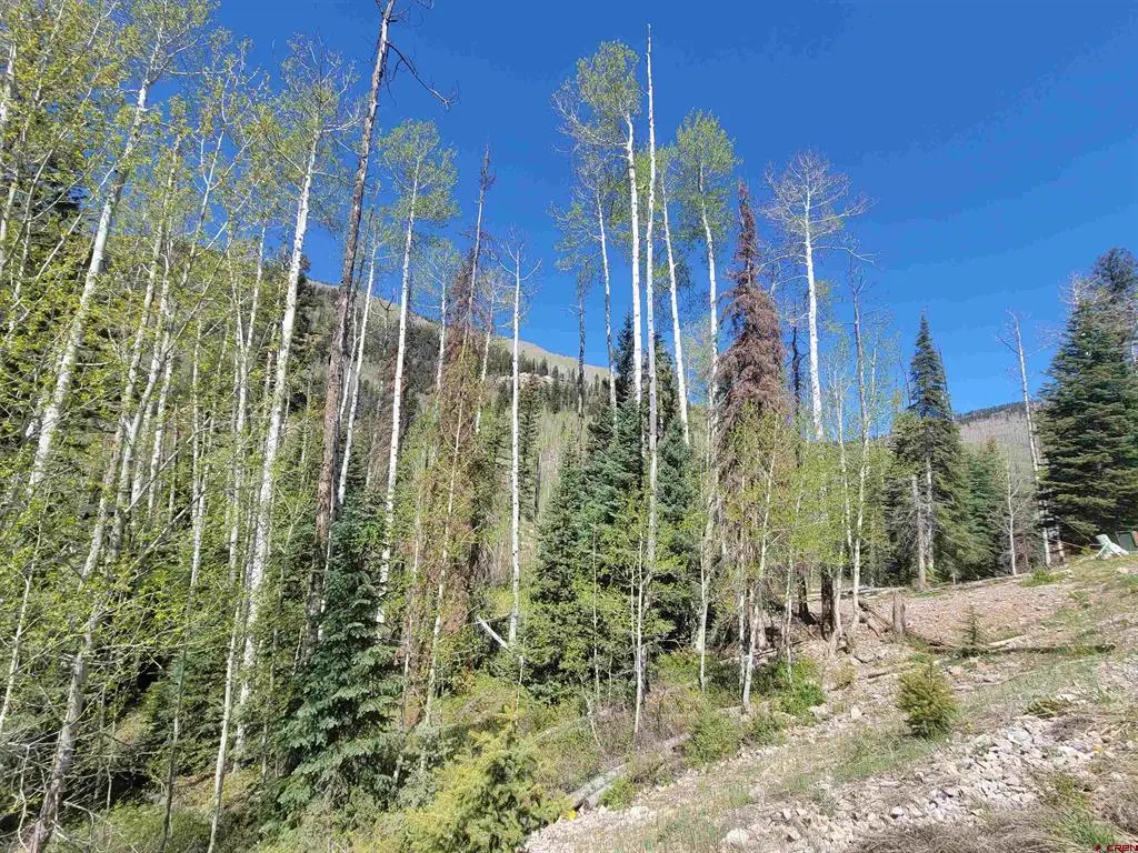 209 Engineer Drive, Durango, CO 81301 - #1