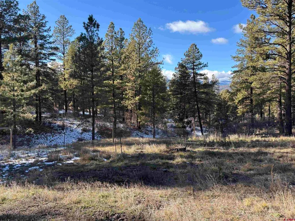 520 Hilltop Drive, Pagosa Springs, CO 81147 - #1
