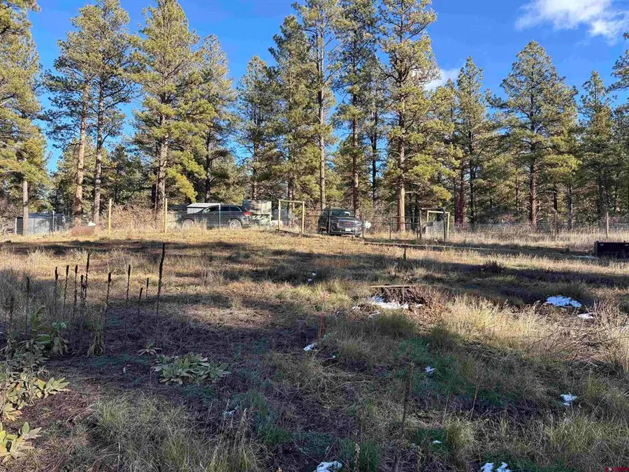 520 Hilltop Drive, Pagosa Springs, CO 81147 - #3
