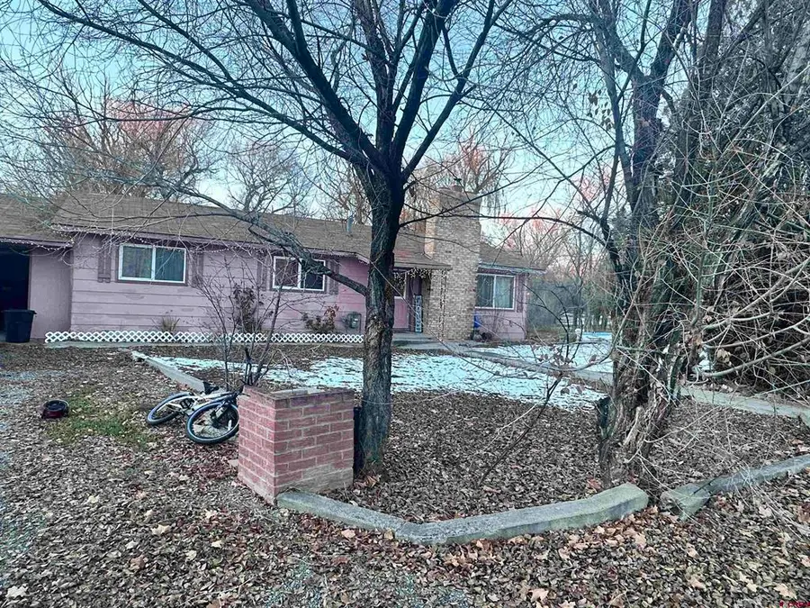 14211 Highway 65, Eckert, CO 81418 - #3