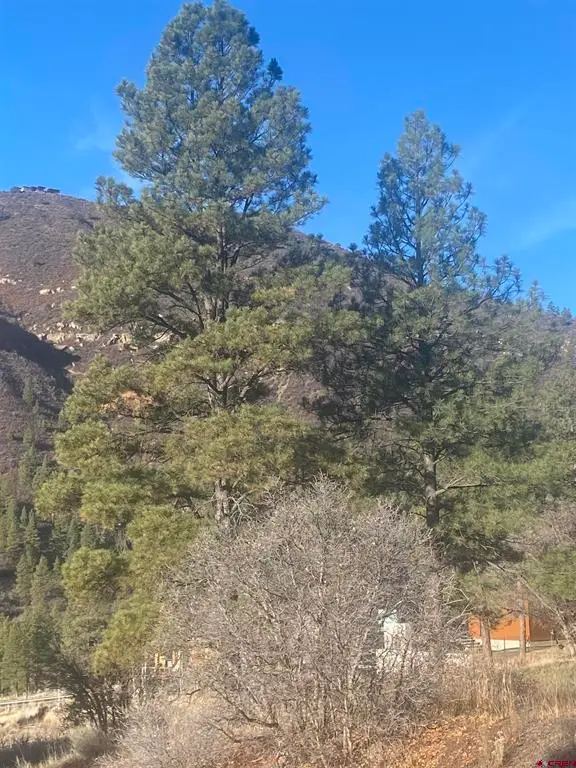 57 Wild Iris, Durango, CO 81301