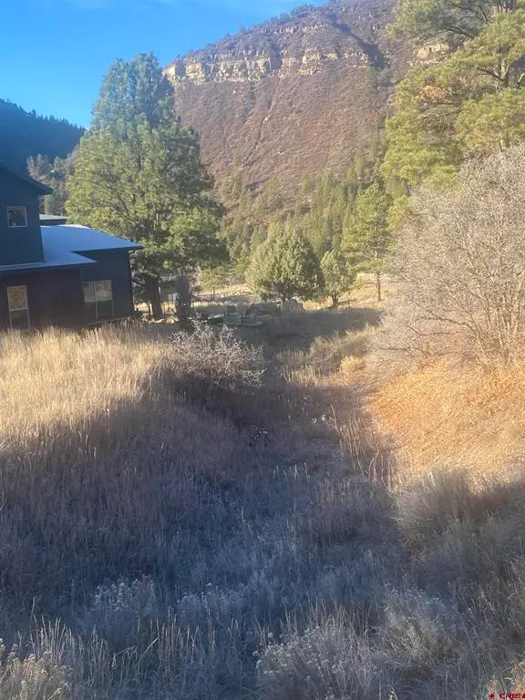 57 Wild Iris, Durango, CO 81301 - #3