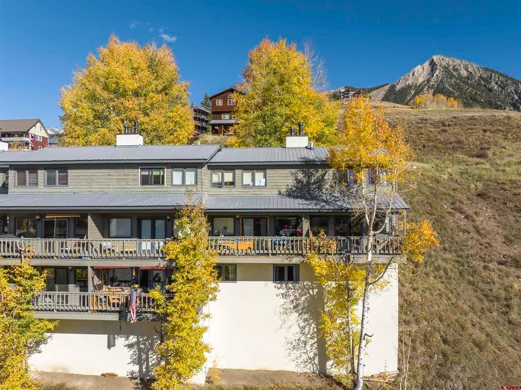 27 Crystal Road #5, Mount Crested Butte, CO 81225 - #1