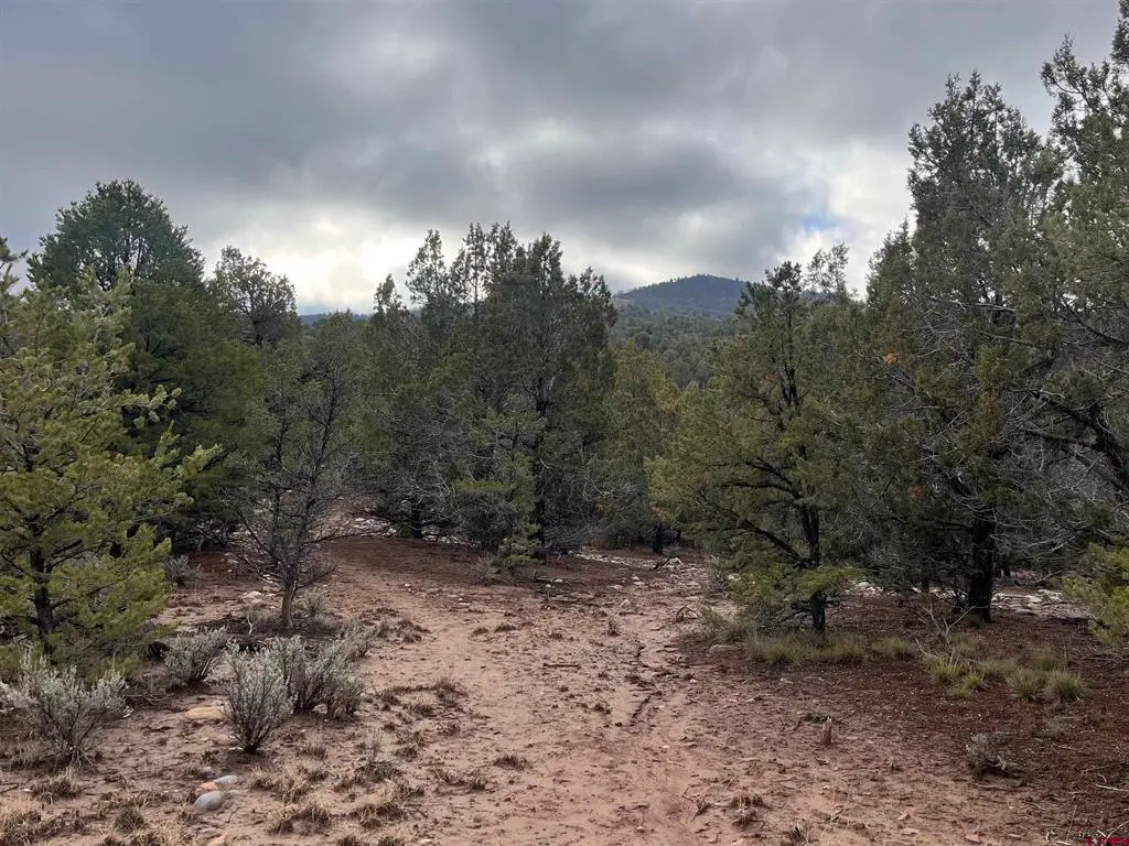 2114 County Road 318, Ignacio, CO 81137 - #1