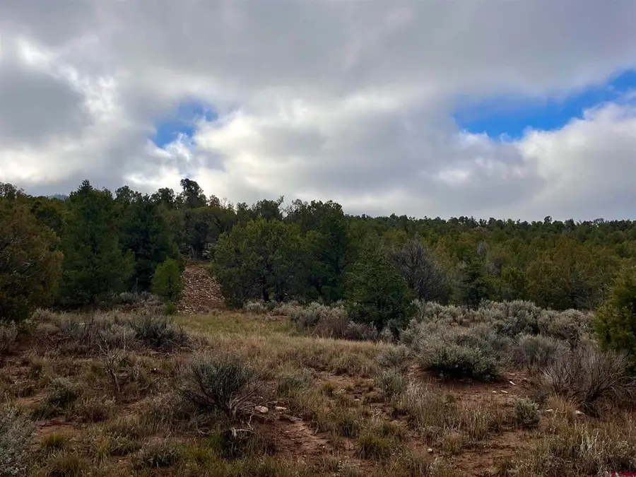 2114 County Road 318, Ignacio, CO 81137 - #2