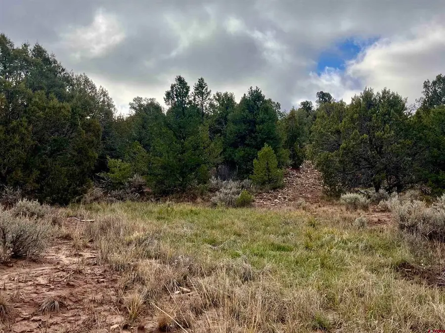 2114 County Road 318, Ignacio, CO 81137 - #3