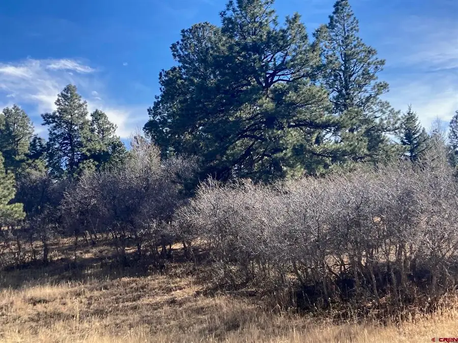 155 Pronghorn Lane, Ridgway, CO 81432 - #2