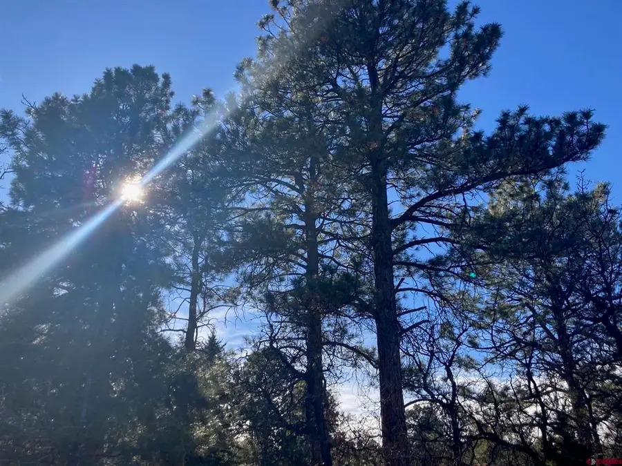 155 Pronghorn Lane, Ridgway, CO 81432 - #3