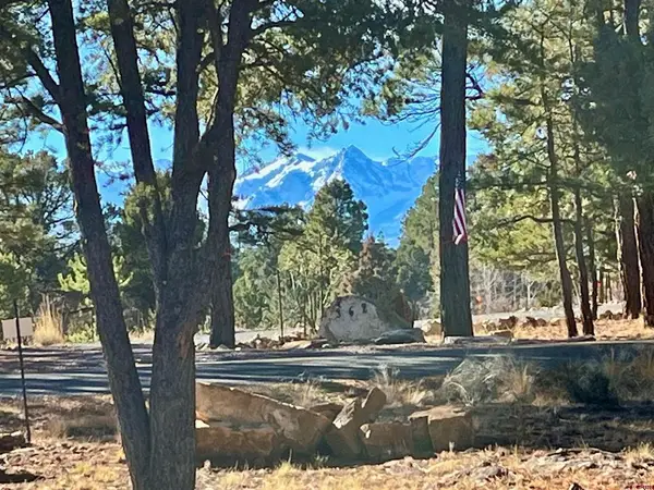 TBD Bear Cub Drive, Ridgway, CO 81432