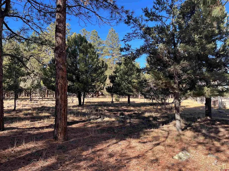 TBD Bear Cub Drive, Ridgway, CO 81432 - #2