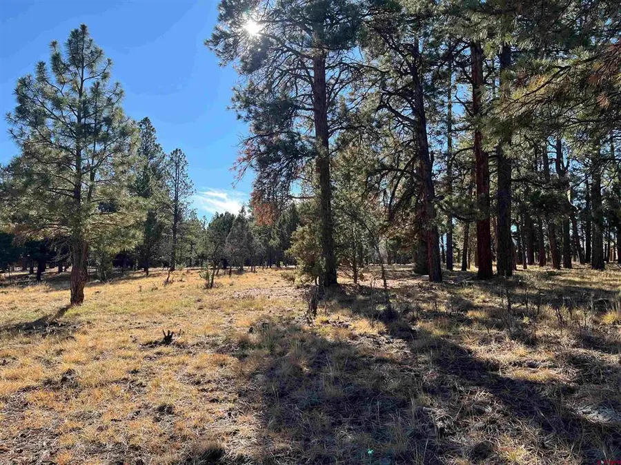 TBD Bear Cub Drive, Ridgway, CO 81432 - #3