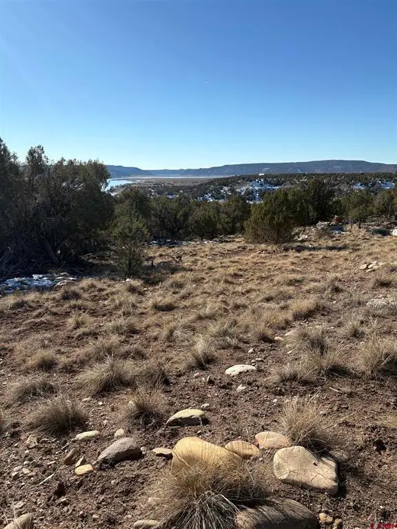 41 Val Verde Court, Arboles, CO 81121 - #2