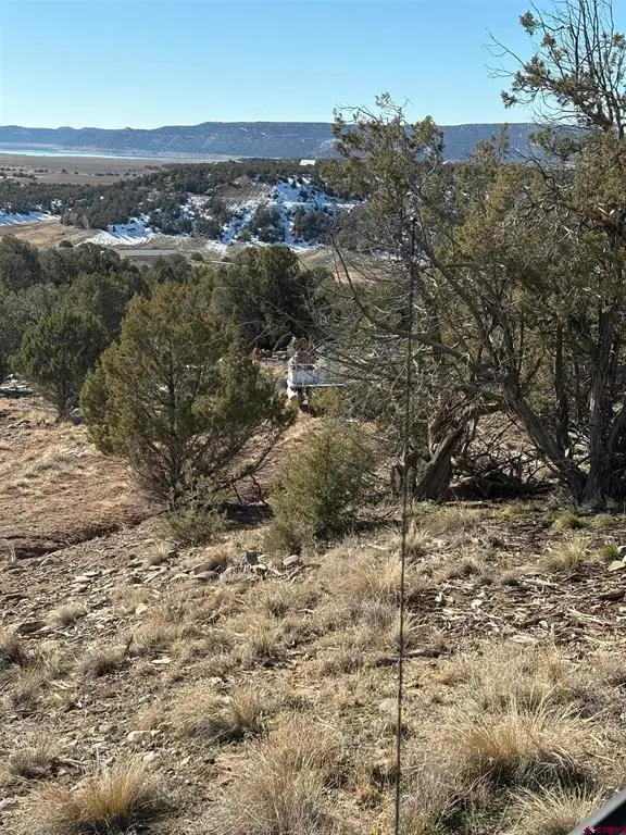 41 Val Verde Court, Arboles, CO 81121 - #3