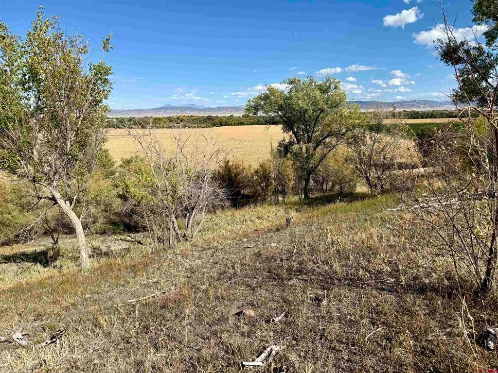 TBD 5500 Road, Olathe, CO 81425 - #1