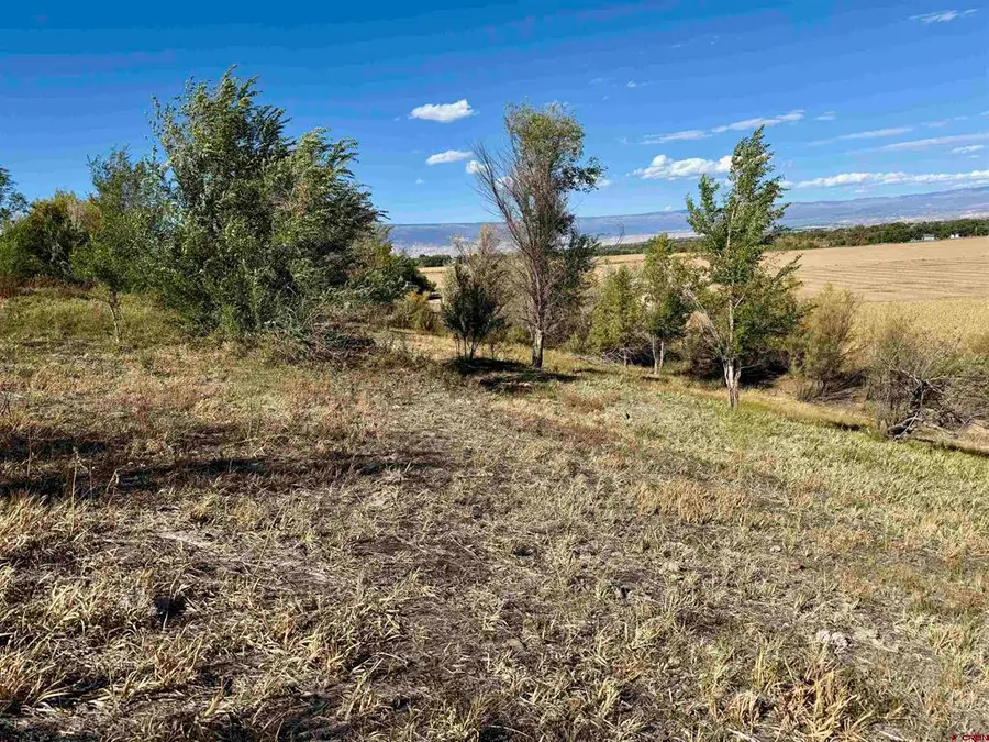 TBD 5500 Road, Olathe, CO 81425 - #2