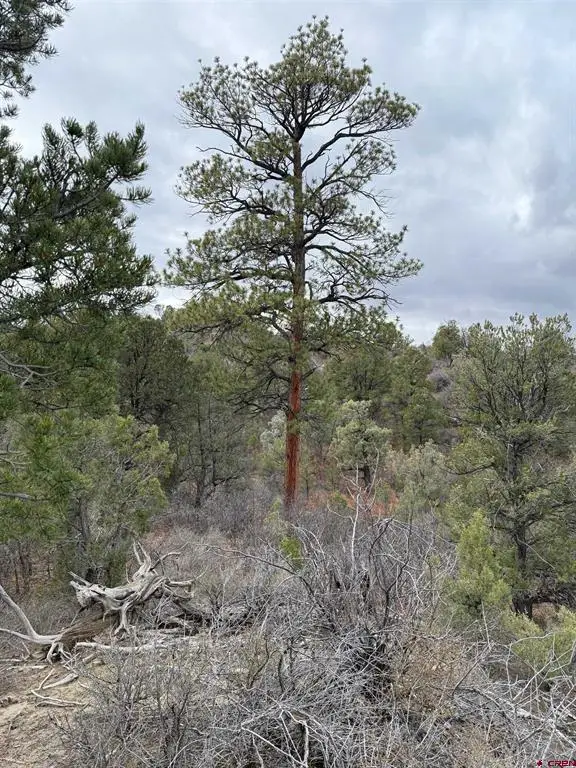 1479 La Posta Canyon Road, Durango, CO 81303