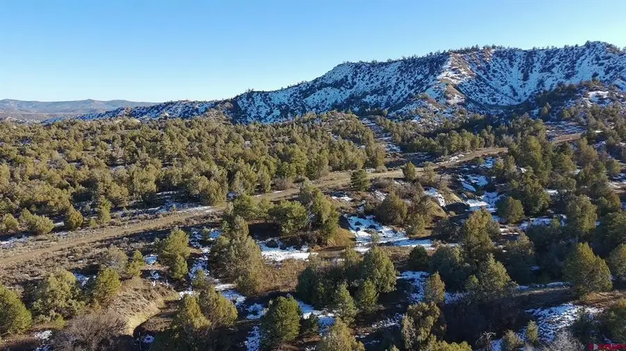 1479 La Posta Canyon Road, Durango, CO 81303 - #3