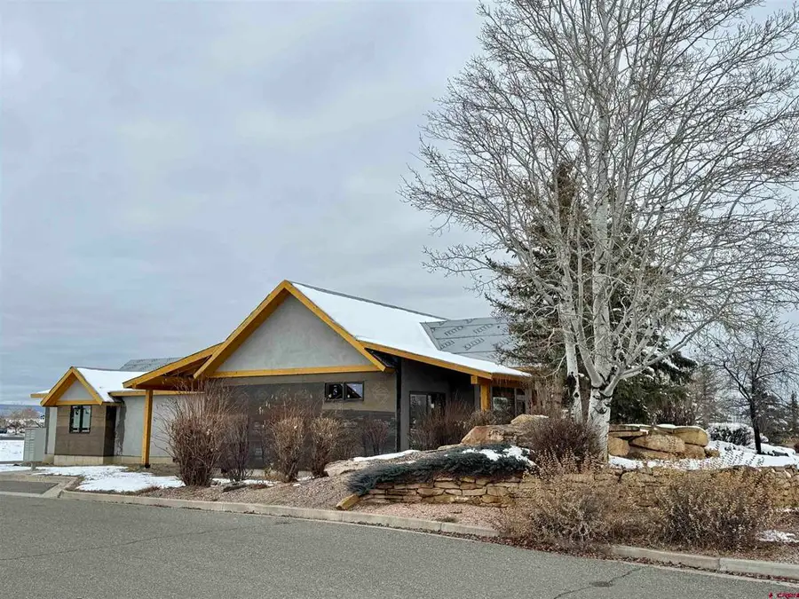 2529 Bridges Loop, Montrose, CO 81401 - #2