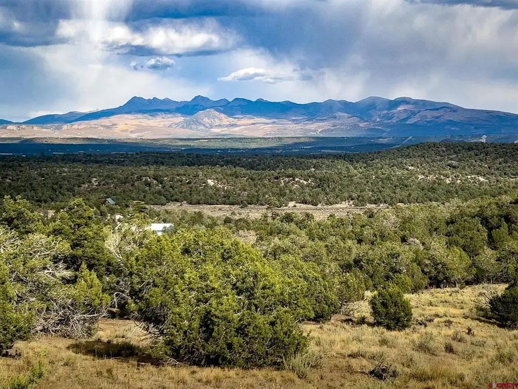 TBD Road 35, Mancos, CO 81328 - #1