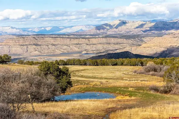 53999 Bull Basin Road, Collbran, CO 81643