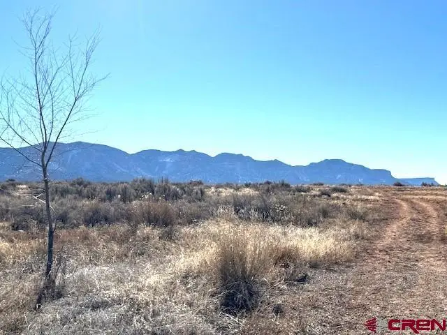 Lot 119, 120 Tbd Nicolette Way, Cortez, CO 81321 - #2