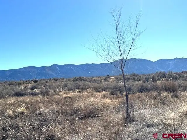 Lot 119, 120 Tbd Nicolette Way, Cortez, CO 81321 - #3