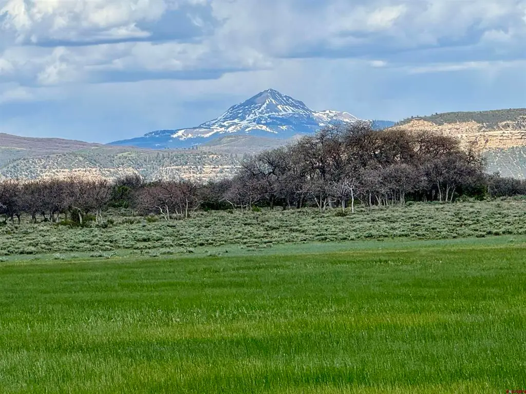 Lot 11 Road 29, Dove Creek, CO 81324 - #1
