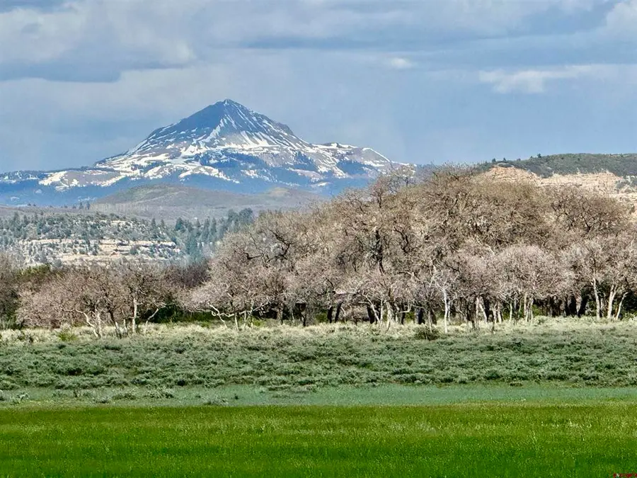 Lot 11 Road 29, Dove Creek, CO 81324 - #3