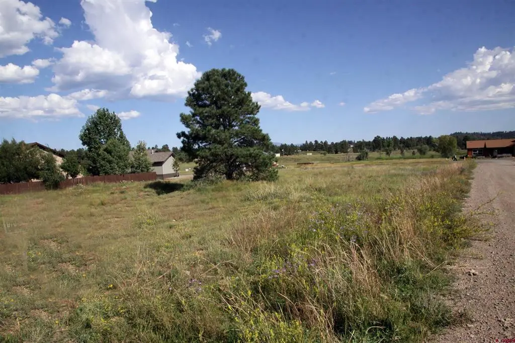49 Paradise Drive, Pagosa Springs, CO 81147 - #1