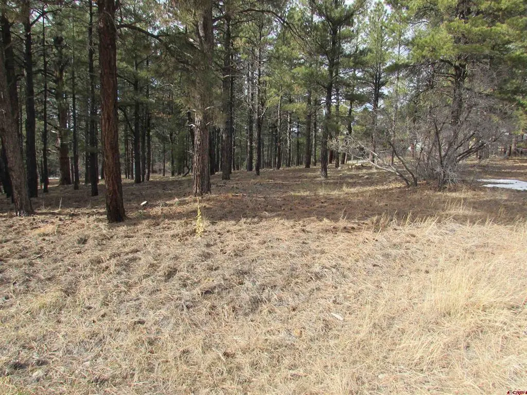 424 Antelope Avenue, Pagosa Springs, CO 81147 - #1