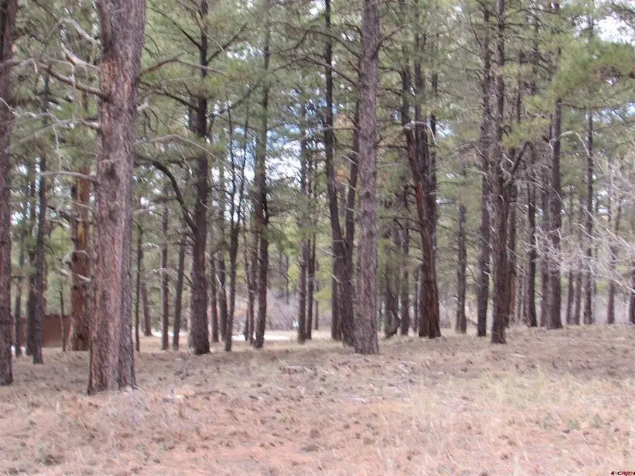 424 Antelope Avenue, Pagosa Springs, CO 81147 - #3