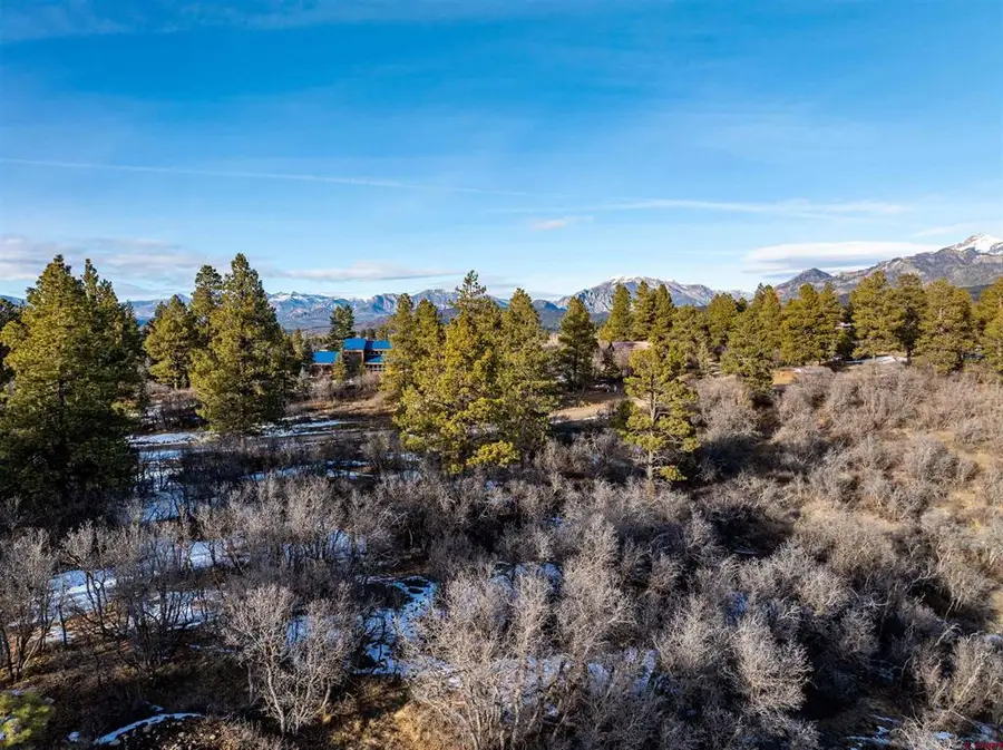 363 Jacobson Circle, Pagosa Springs, CO 81147 - #3
