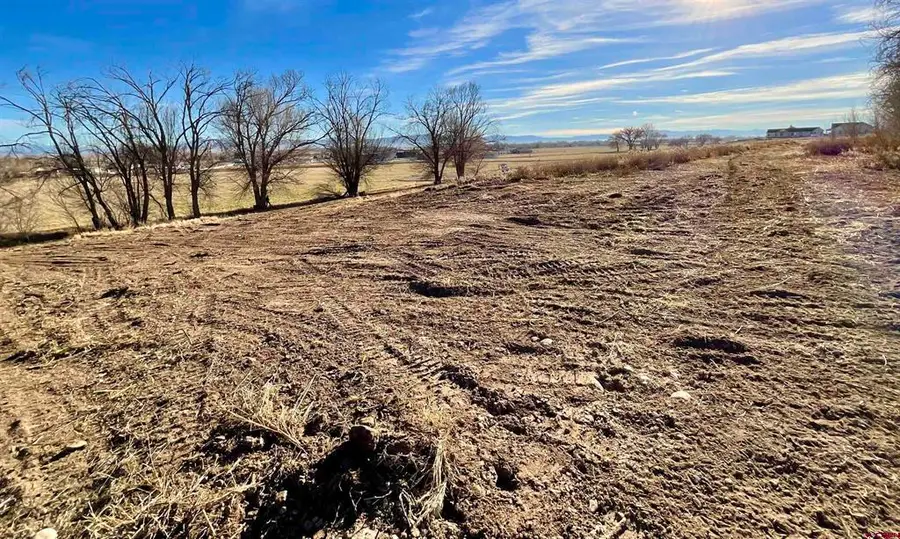 TBD Lot 3 Bronco Court, Delta, CO 81416 - #3