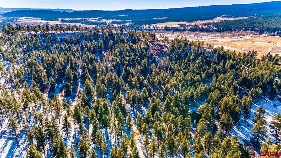 TBD Lot 11 Beaver Creek Ranch Drive, Bayfield, CO 81122 - #3
