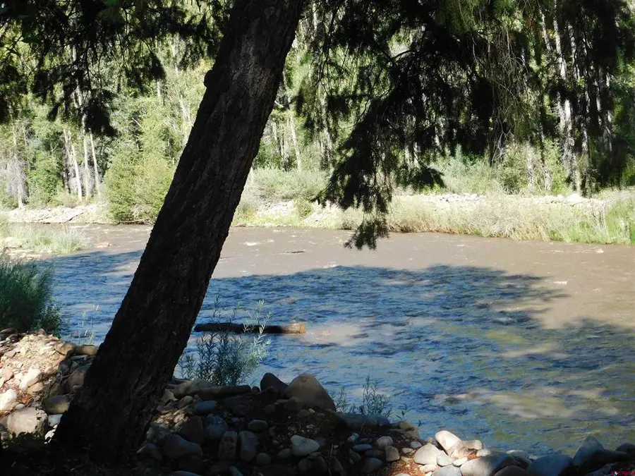27046 Hwy 145, Dolores, CO 81323 - #3