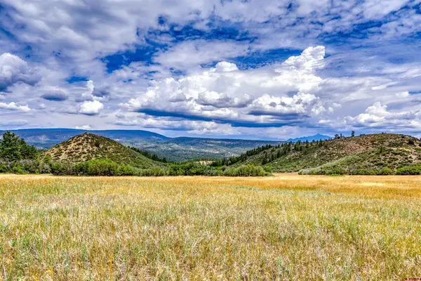 1030D County Rd 139, Pagosa Springs, CO 81147