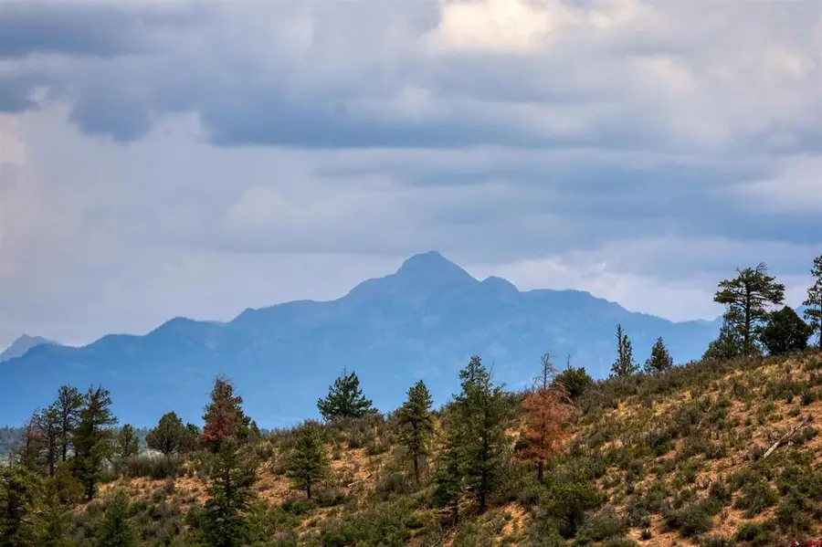 1030D County Rd 139, Pagosa Springs, CO 81147 - #2
