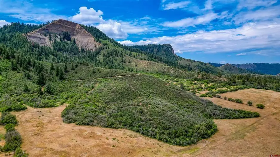 1030D County Rd 139, Pagosa Springs, CO 81147 - #3